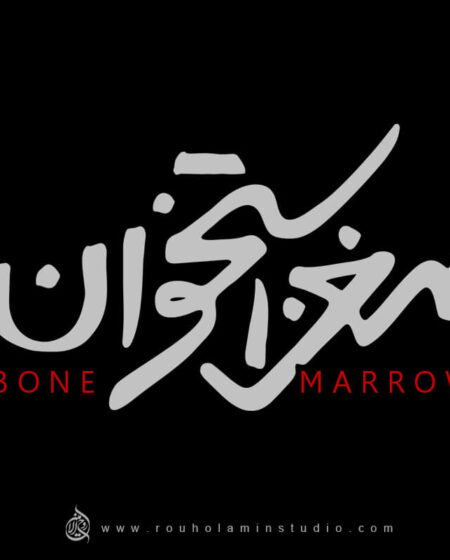 Bone Marrow Logo Design Mohammad Rouholamin